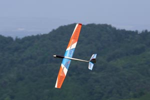 Pilot Nutmeg 2 Glider-10