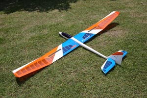 Pilot Nutmeg 2 Glider-2